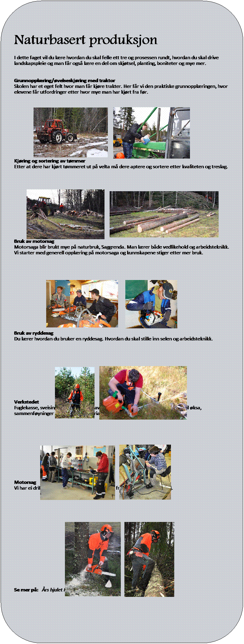 Avrundet rektangel:  
 
 
  
Naturbasert produksjon
 
 
I dette faget vil du lre hvordan du skal felle ett tre og prosessen rundt, hvordan du skal drive landskapspleie og man fr ogs lre en del om skjtsel, planting, boniteter og mye mer. 
 
 
Grunnopplring/velseskjring med traktor 
Skolen har et eget felt hvor man fr kjre trakter. Her fr vi den praktiske grunnopplringen, hvor elevene fr utfordringer etter hvor mye man har kjrt fra fr. 
 
 
 
 
 
 
 
 
 

 
 

Kjring og sortering av tmmer
Etter at dere har kjrt tmmeret ut p velta m dere aptere og sortere etter kvaliteten og treslag. 
 
 
 
 
 
 
 
 
 
 
 

 
Bruk av motorsag 
Motorsaga blir brukt mye p naturbruk, Saggrenda. Man lrer bde vedlikehold og arbeidsteknikk. Vi starter med generell opplring p motorsaga og kunnskapene stiger etter mer bruk. 
 
 
 
 
 
 
 
 

 
 
 
 
 
Bruk av motorryddesag 
Du lrer hvordan du bruker en ryddesag. Hvordan du skal stille inn selen og arbeidsteknikk.
 
 
 

 
 
 
 
 
 
  

Verkstedet 
Fuglekasse, sveising, gjenging, sliping av kniver og kser, sette p og lage skaft til ksa, sammenfyninger av forskjellig mattrialer osv.
 
 
 
 
 
 
 
 
 
 
Skogplanting.
Viktigheten av  f opp ny skog etter hogst.

Dyrelre.
Lre om forkjellige dyr i naturen.
 
 
 
 
rshjulet VG1 Naturbruk
