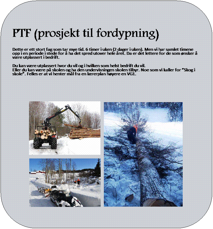 Avrundet rektangel:  
 
 
 
PTF (prosjekt til fordypning)
 
 rshjulet VG1 Naturbruk
 
Dette er ett stort fag som tar mye tid. 6 timer i uken (2 dager i uken). Men vi har samlet timene opp i en periode i stede for  ha det spred utover hele ret. Da er det lettere for de som nsker  vre utplassert i bedrift. 
 
Du kan vre utplassert hvor du vil og i hvilken som helst bedrift du vil. 
Eller du kan vre p skolen og ha den undervisningen skolen tilbyr. Noe som vi kaller for Skog i skole. Felles er at vi henter ml fra en lrerplan hyere en VG1.
 

 
 
 
 
 
 
 
 
 
 
 
 
 
 
 
 
 
 
 
 

